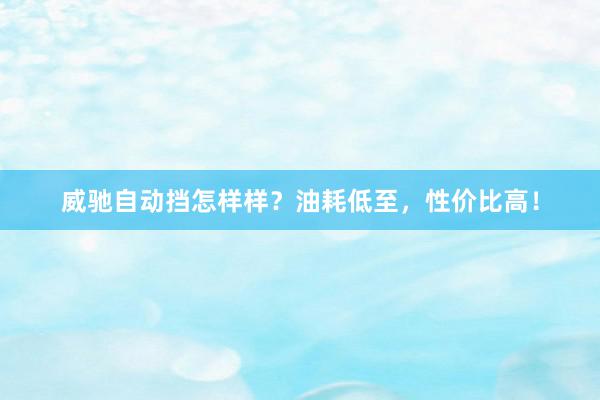 威驰自动挡怎样样？油耗低至，性价比高！